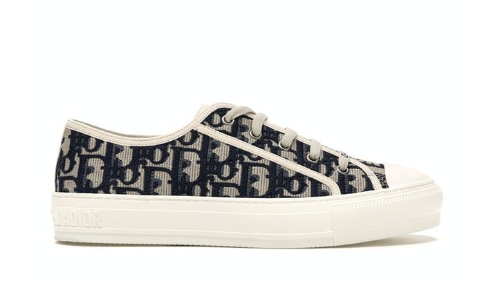 Dior-WalkNDiorOblique-Navy-Canvas-Womens-1.jpg