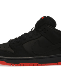 Black Pigeon